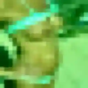 Dina de Saint-Hilaire-Saint-Mesmin, 42 ans - rencontre sexy discret