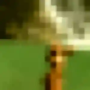Deborah, femme de 44 ans cherche rencontre sexy à Saint-Jean-de-la-Ruelle