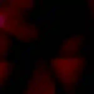 Tiffany, fille de 23 ans veut rencontre sexy à Saint-Léger-sous-Cholet