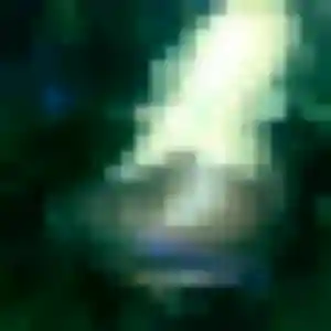 Photo sexy de Leontine, 37 ans à Saint-Malo-de-Guersac - rencontre coquine