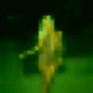 Stephanie, 34 ans, disponible à Saint-Philbert-de-Grand-Lieu pour une rencontre coquine