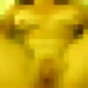 Sexy Olympe, 23 ans à Saint-Vrain - voir sa photo