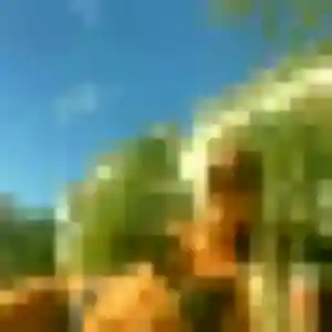 Armelle, femme de 33 ans propose rencontre sexy à Savigny-le-Temple