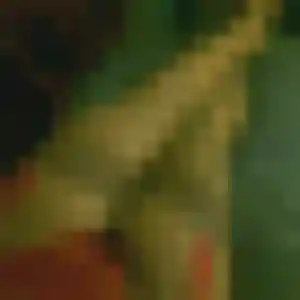 Joanne de Segré-en-Anjou Bleu, 44 ans - rencontre sexy discret