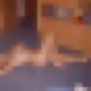 Photo privée de Myriam, 40 ans à Semoy - rencontre sans lendemain