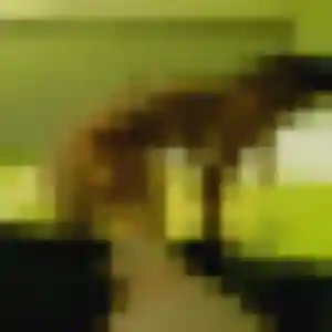 Barbara (25 ans) à Terres-de-Caux cherche un rencontre sexy aujourd'hui