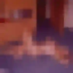 Constance, femme de 44 ans propose rencontre sexy à Thorigné-Fouillard