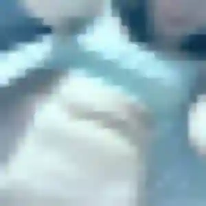 Justine, fille de 29 ans propose rencontre sexy à Thorigné-Fouillard