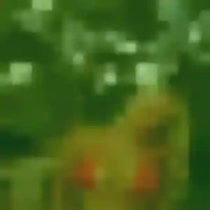 Alienor, femme de 43 ans cherche rencontre sexy à Vieillevigne