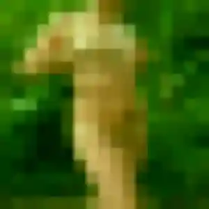 Photo exclusive de Diane, 24 ans à Vieillevigne - rencontre coquine