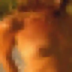 Ornella, 34 ans, cherche un rencontre sexy à Viry-Châtillon